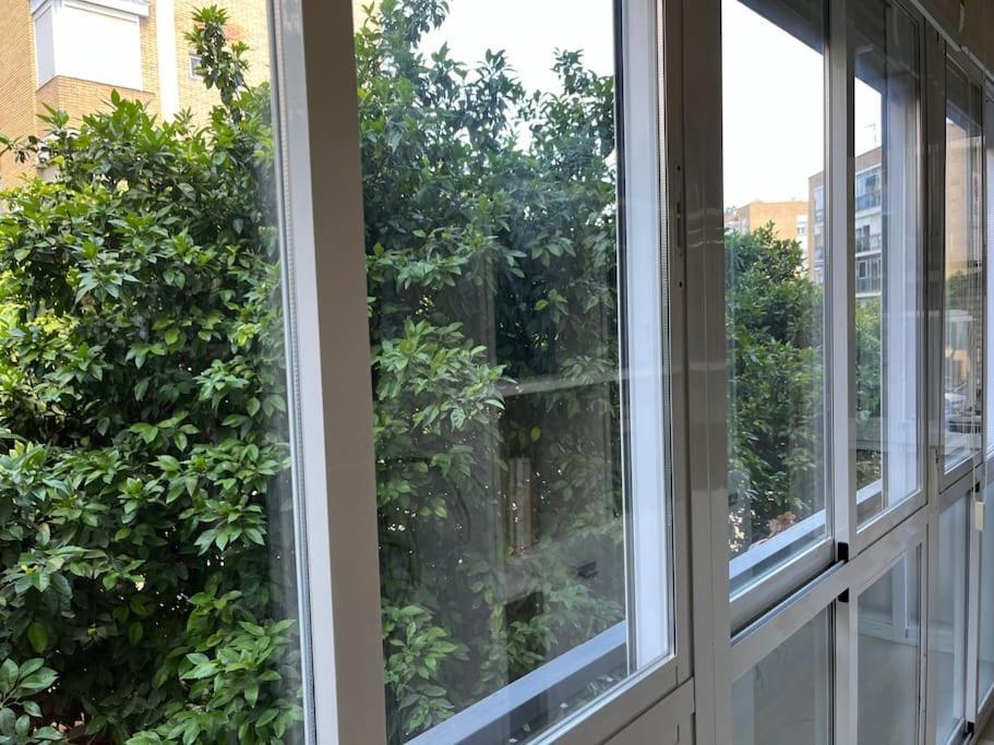 Triana Family Suites Seville Luaran gambar